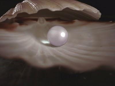 Die wunderschöne Perle - Eine Geschichte für uns, aber auch für unsere Kinder und Enkelkinder