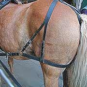 Wenn Du willst...kannst Du das Pferd von hinten aufzäumen.