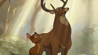 Bambi 2 - Der Herr Der Wälder Special Edition