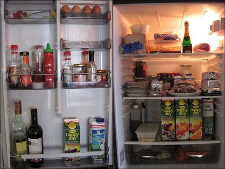 09 the contents of your fridge, mtv cribs style.   E...