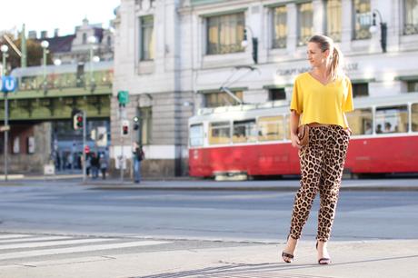 Leopard track pants & cropped top