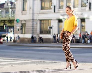 Leopard track pants & cropped top