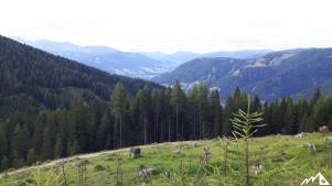 Mit dem Rad von Salzburg nach Slowenien: 3. Etappe