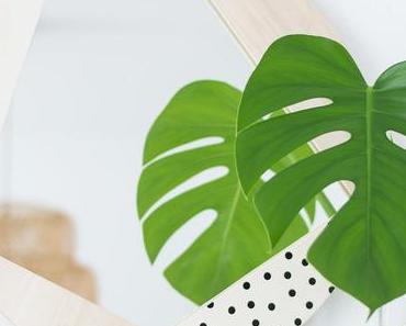 [Nachmachtipp] Statement Spiegel