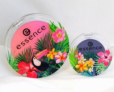 [Limited Edition Shopping] essence exit to explore