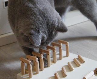 DIY-Fummelbrett aus Holz || Katzenspielzeug selber machen