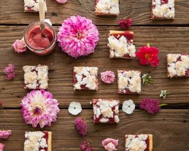 Pretty in Pink: Himbeercurd Kokos Bars