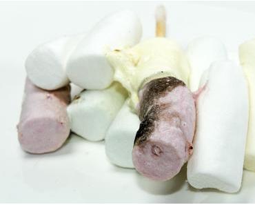Tag der gerösteten Marshmallows – der amerikanische National Toasted Marshmallow Day