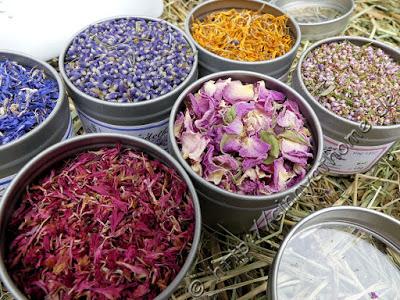 Mit Blütenblättern mal ganz neues ausprobieren #BB2G #Food #direct&friendly