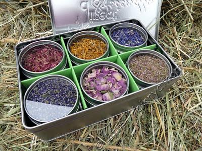 Mit Blütenblättern mal ganz neues ausprobieren #BB2G #Food #direct&friendly