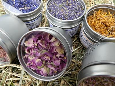 Mit Blütenblättern mal ganz neues ausprobieren #BB2G #Food #direct&friendly