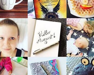 Gelesen, gesehen, gemacht, gebloggt im August