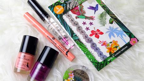 Review Essence Trend Edition 