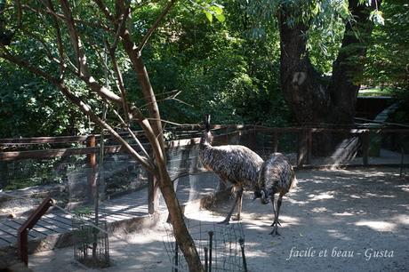 Budapest - Teil 5: Zoo (1. Teil)