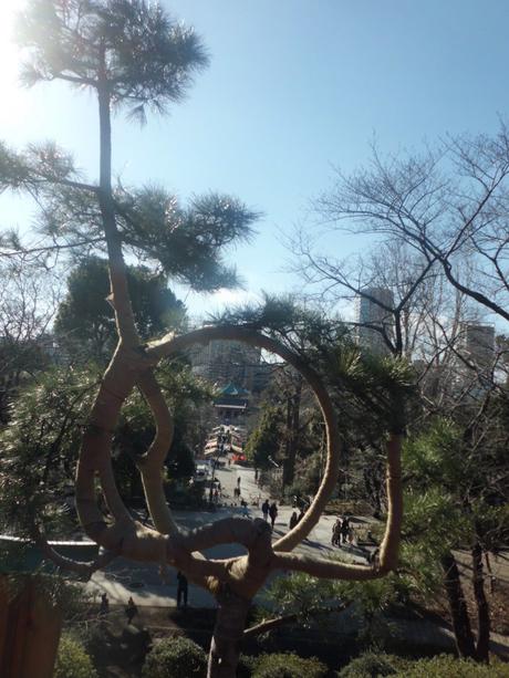 Ausblick auf die Allee im Ueno Park
