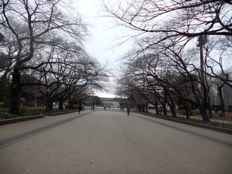 Hauptallee im Ueno Park