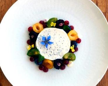 Keine Ahnung ist auch ’ne Ahnung – Erstaunliches über Pflaumen