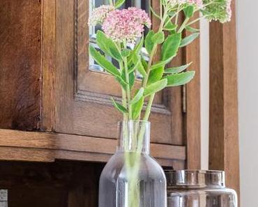 Flowers | Rosafarbene Fetthenne