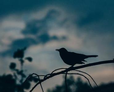 Hans-Ulrich Treichel – „Tagesanbruch“