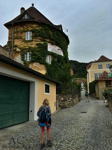 Welterbesteig Wachau – Wandern nach dem Wanderführer