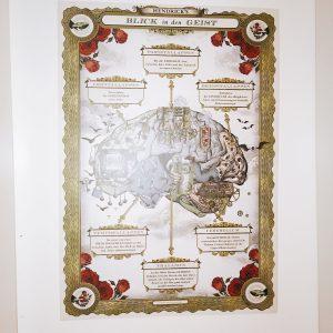 Poster mit Abbildung des Gehirns und Erklärungen bzgl. der Funktionen der Areale