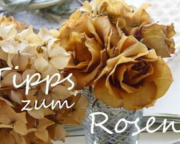 Wie ihr Rosen seidig weich trocknet