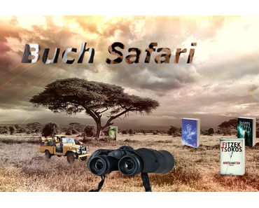 [Aktion] Buch Safari #45 ~ Kein Rockstar für eine Nacht