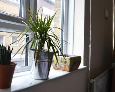 Personal: Room Tour E1 again