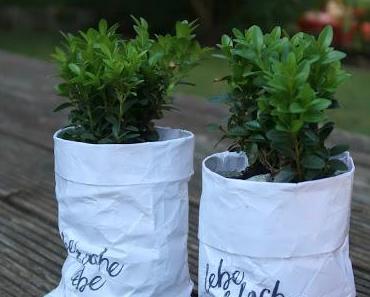 Blumenübertopf selfmade...