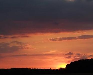 Draussen | In Heaven No 38/2016