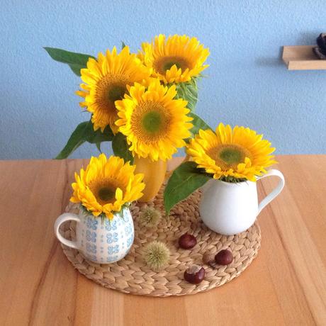 Friday-Flowerday – oder – Die Zeit für Sonnenblumen ist da