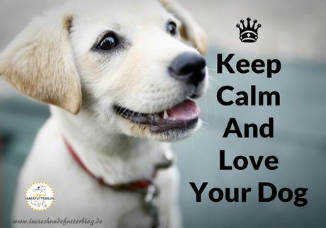 keep calm doglove