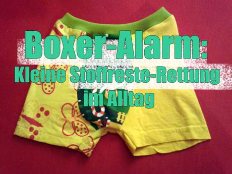 boxer-alarm
