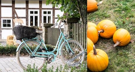 fim.works | Fotografie. Leben. Wohnen. | Herbst auf Hof Laer in Herford