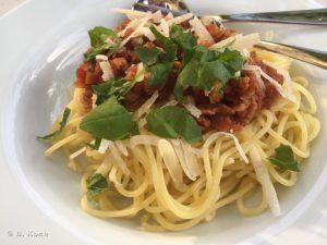 spaghetti_mit_tomatensauce-768x576