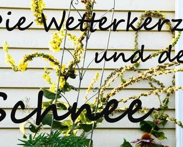 Wie wird der Winter 2016? Bekommen wir Schnee? Ich verrate es euch!