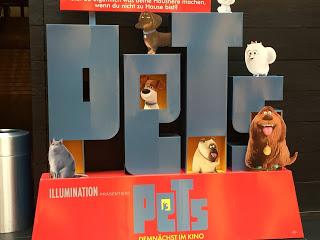 Was tun Haustiere wenn sie alleine sind? - Pets