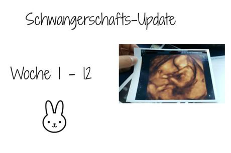 Schwangerschaft ssw 1 - ssw 12 update