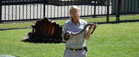 australia zoo - pfleger mit schlange