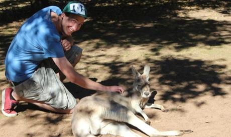 australia zoo - kangaroo cris
