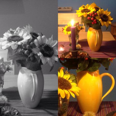 Friday-Flowerday – oder – Noch mal Sonnenblumen