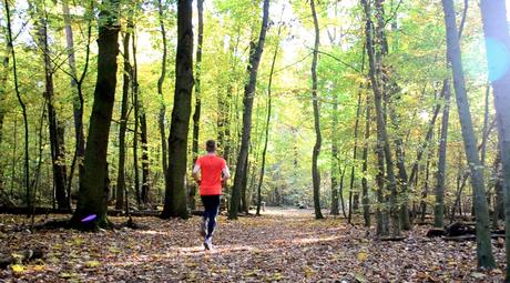 Forrest Running Run Autumn
