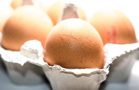 Kuriose Feiertage - 14. Oktober-Welt-Ei-Tag - der internationale World Egg Day 2016 (c) Sven Giese -1