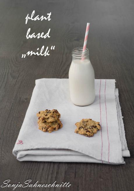 homemade-plant-milk-selbstgemachte-pflanzenmilch-1-von-5