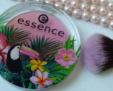 essence exit to explore Blush