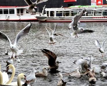 Wochenende in Hamburg