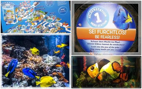 Die Helden der Meere sind da - Auf der Suche nach Dorie & Nemo im SEA LIFE