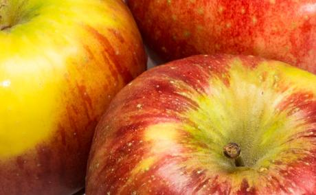 Kuriose Feiertage - 21. Oktober - Tag des Apfels in Großbritannien – der britische Apple Day (c) 2016 Sven Giese -2