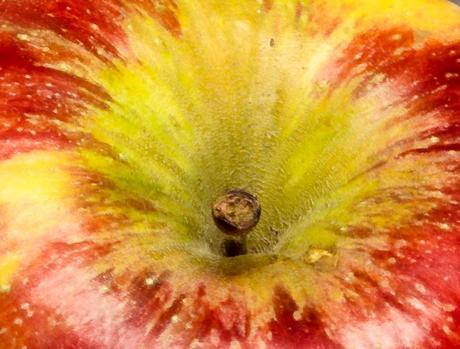 Kuriose Feiertage - 21. Oktober - Tag des Apfels in Großbritannien – der britische Apple Day (c) 2016 Sven Giese -1
