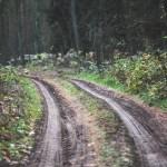 Waldweg mit Fahrspur ohne Allradantrieb befahrbar